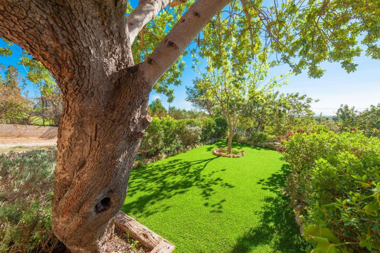 Es Garroveral 3 Bunyola Exteriér fotografie